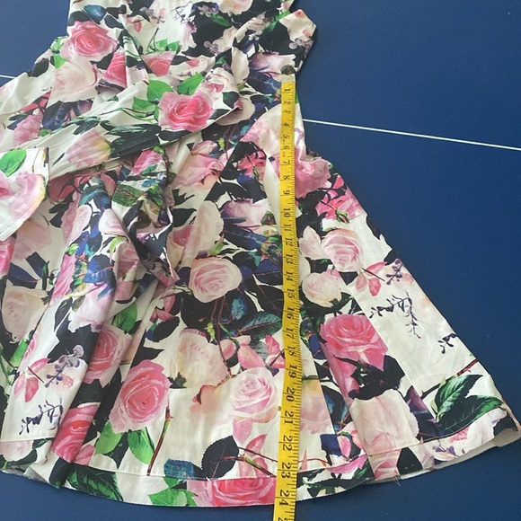 Betsey Johnson Pink & Green Te Party Cotton Sleeveless V-Neck Midi Dress size 6 - Picture 16 of 17